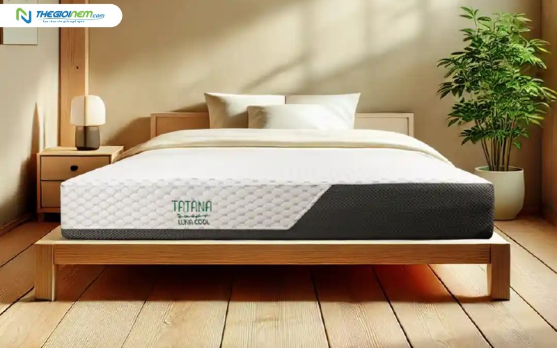 Nệm foam Luna Cool TATANA 